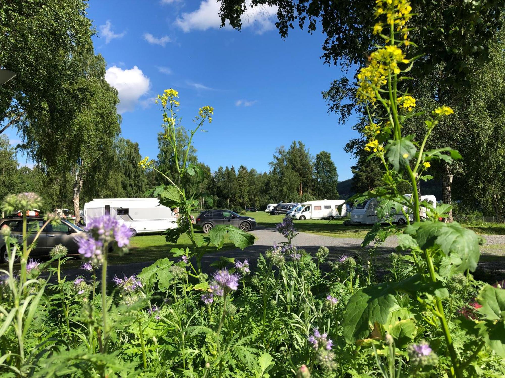4 Persoons Stuga Hammarstrand Dış mekan fotoğraf