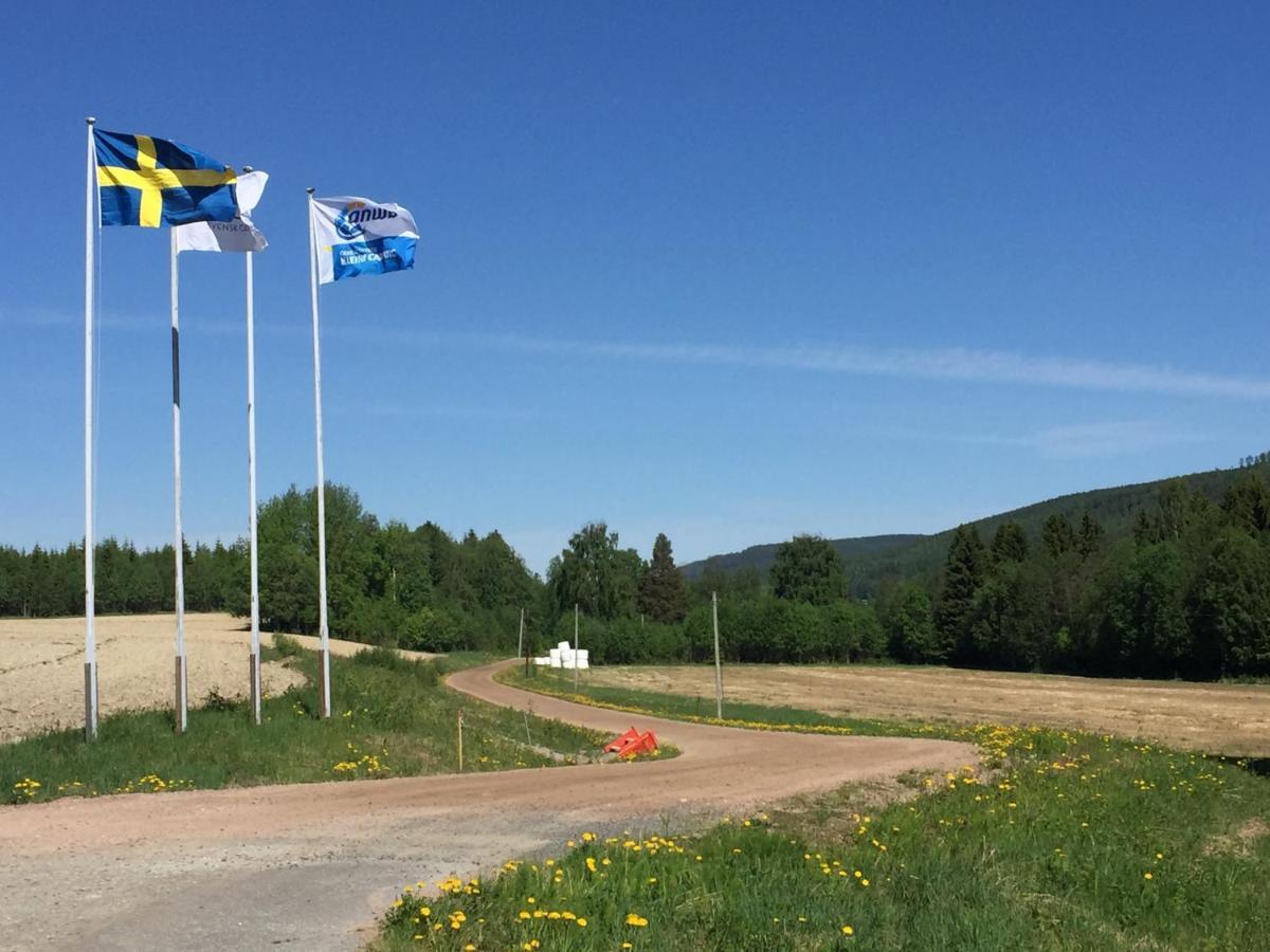 4 Persoons Stuga Hammarstrand Dış mekan fotoğraf
