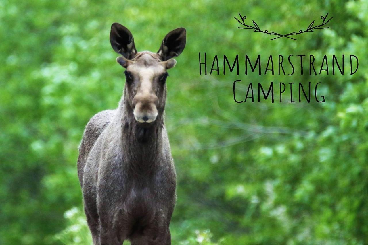 4 Persoons Stuga Hammarstrand Dış mekan fotoğraf